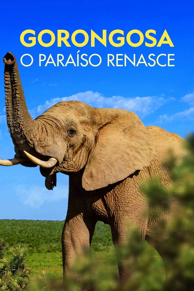 Póster la Película