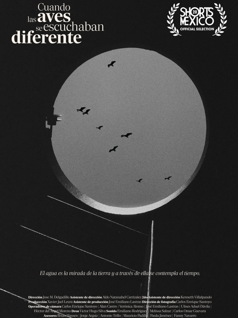 CUANDO LAS AVES SE ESCUCHABAN DIFERENTE poster