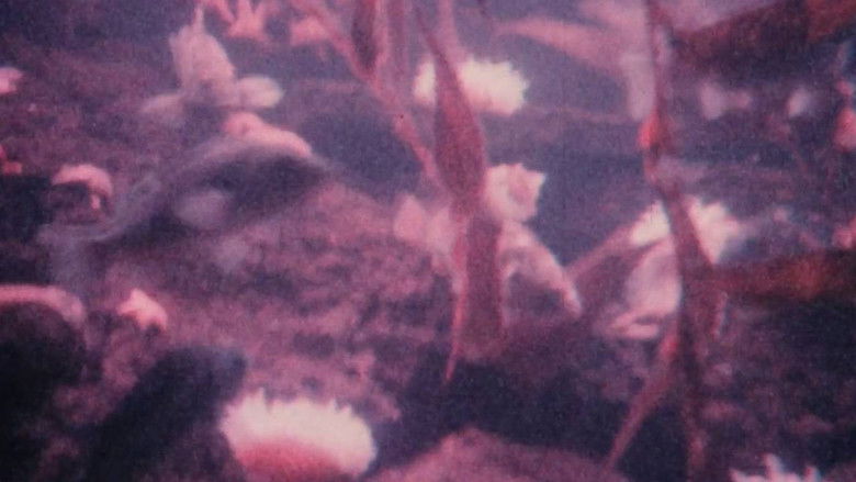 Gallery image from iOwpK0E9TdrgB0uM7kNuknCaYNW.jpg