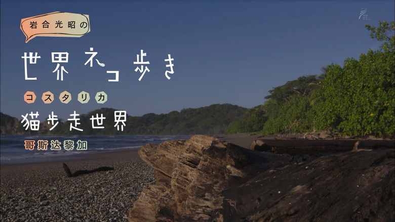 Still image for Mitsuaki Iwago's World “Cats” Travelogue season 1 episode 69: Costa Rica Still image for Mitsuaki Iwago's World “Cats” Travelogue season 1 episode 69: Costa Rica