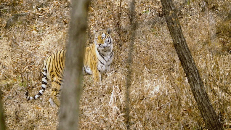 Still image for Wild Russia: Earth’s Last Great Wilderness season 1 episode 4: The Hidden Kingdom