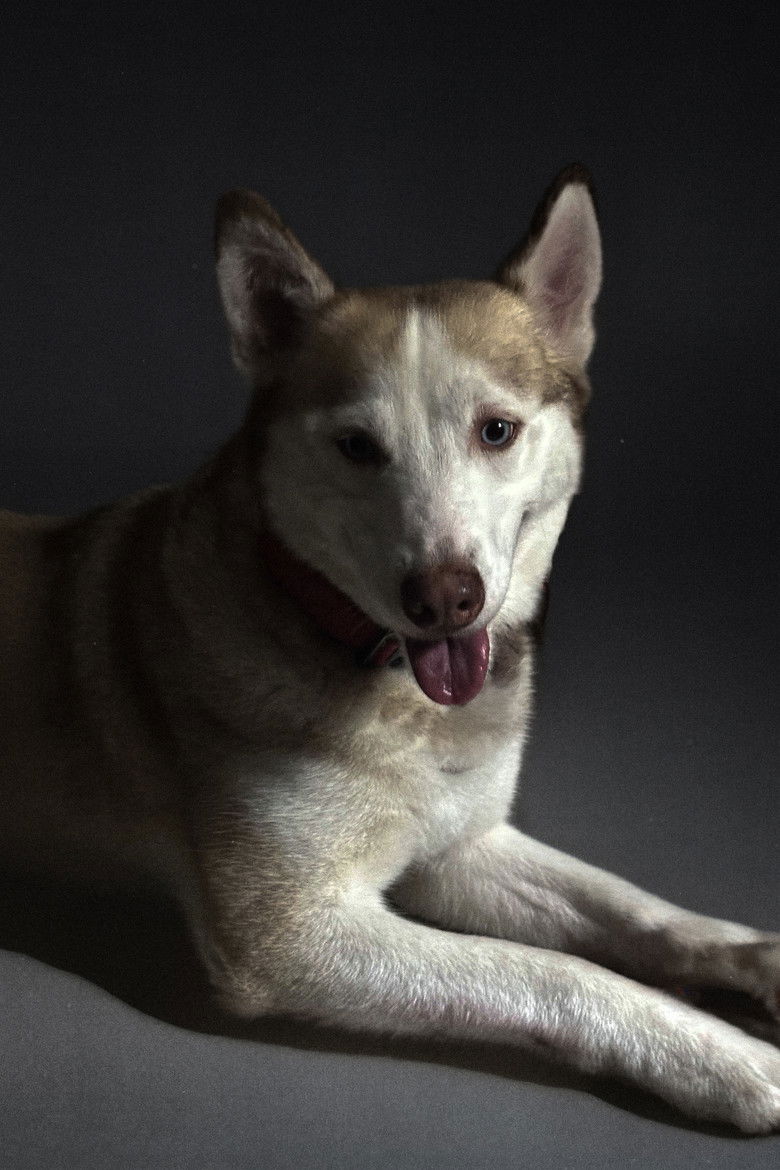 Photo de Raimi Mendigorin