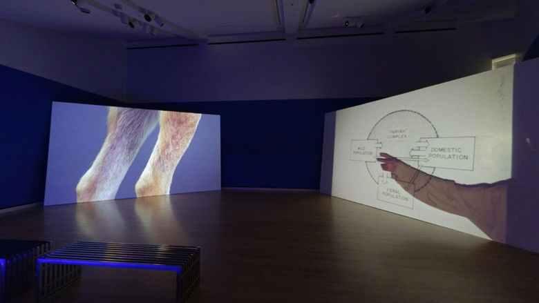 Gallery image from iRlGm09pv2roKB2KIrPW2AiJrP8.jpg