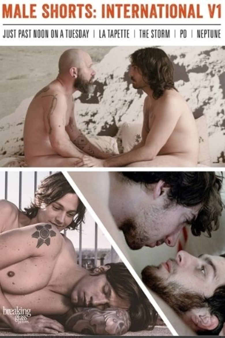 Imatge de Male Shorts: International V1