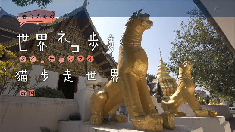Still image for Mitsuaki Iwago's World “Cats” Travelogue season 1 episode 26: Chiang Mai, Thailand Still image for Mitsuaki Iwago's World “Cats” Travelogue season 1 episode 26: Chiang Mai, Thailand