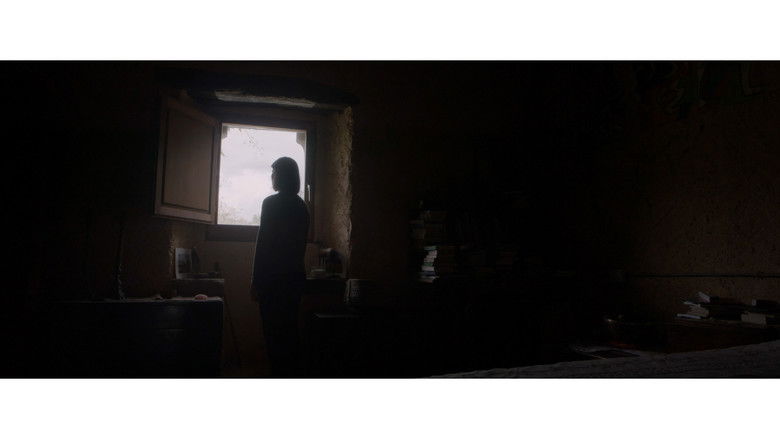 Fons de Un Any Després