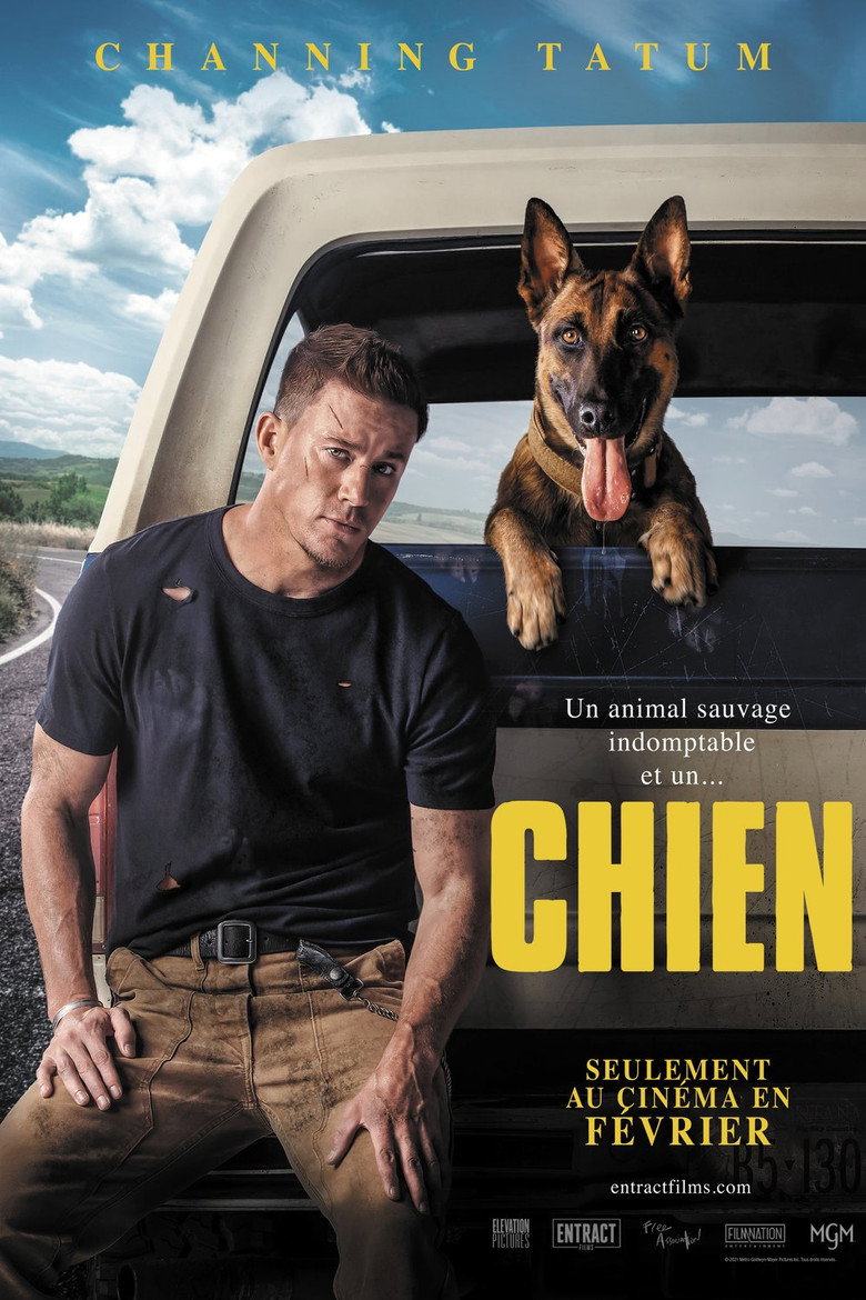 Affiche de DOG