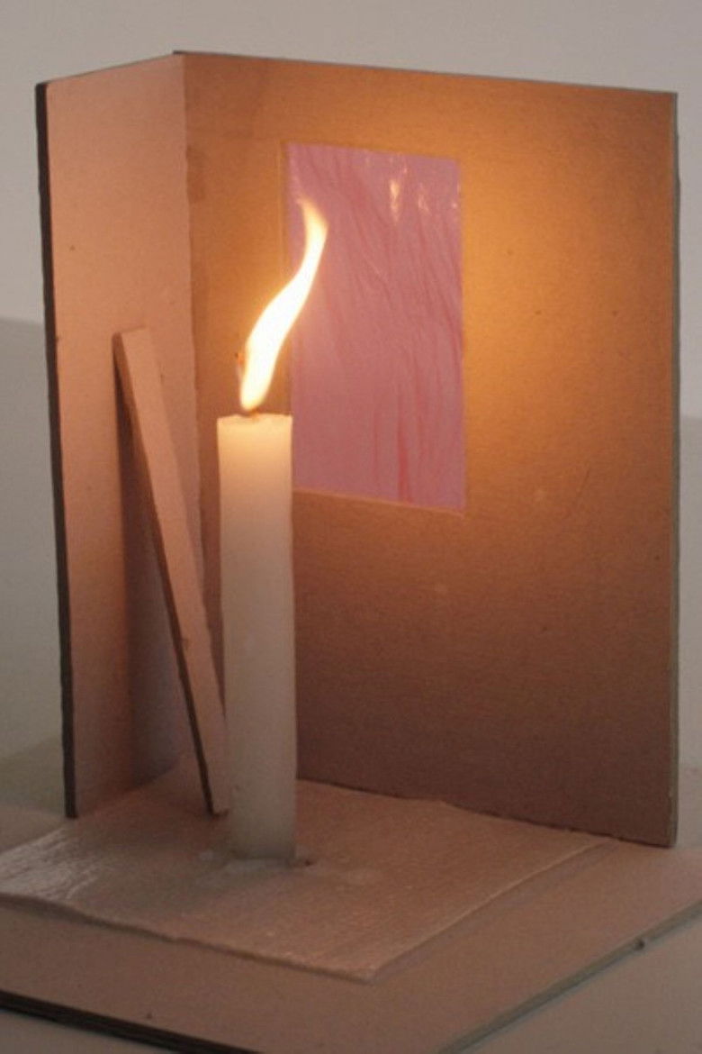 Imatge de Desaparición incompleta