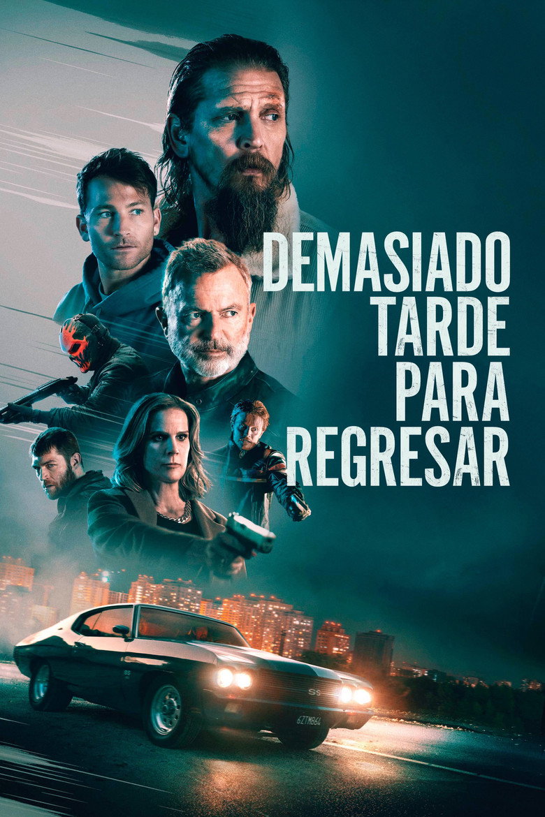 Póster la Película