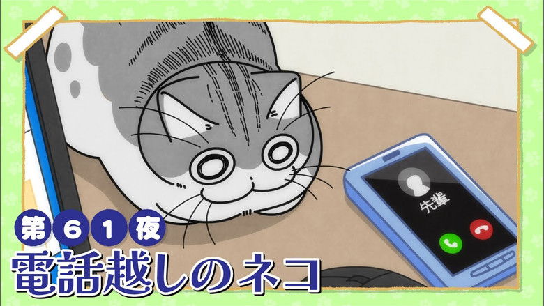 Still image for Nights with a Cat season 1 episode 61: Night 61: Cat Over the Phone