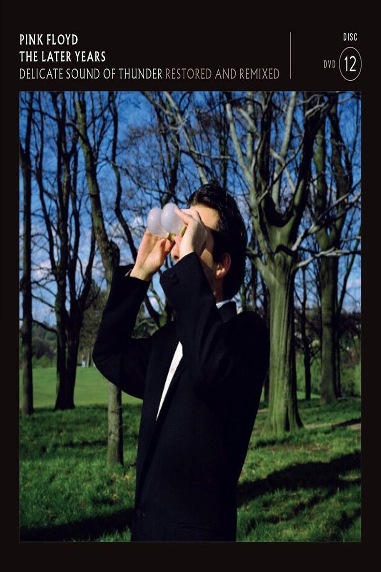Imatge de Pink Floyd: The Later Years, Vol 2 - Delicate Sound of Thunder