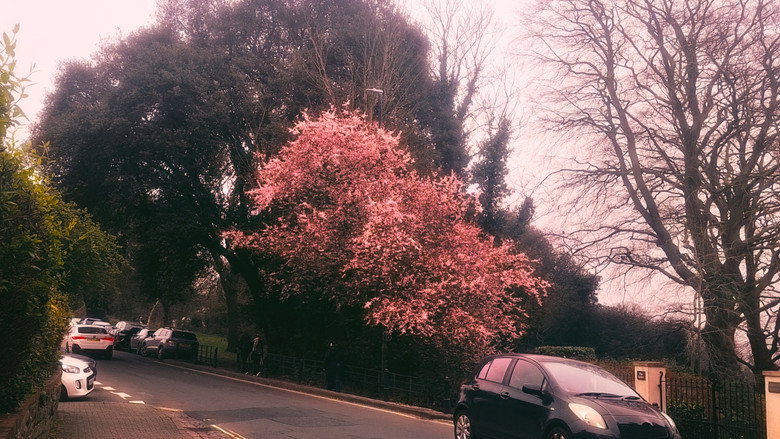 Imatge de Blue Sound