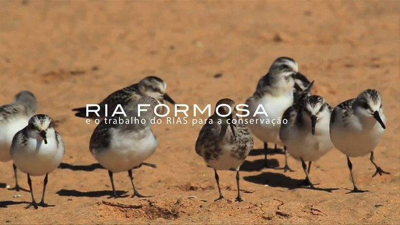 Ria Formosa e o Trabalho do RIAS para a Conserva&ccedil;&atilde;o