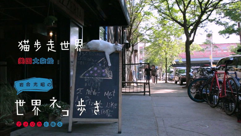 Still image for Mitsuaki Iwago's World “Cats” Travelogue season 1 episode 58: Photographing America Still image for Mitsuaki Iwago's World “Cats” Travelogue season 1 episode 58: Photographing America