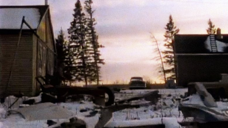 Under New Management (1981)
