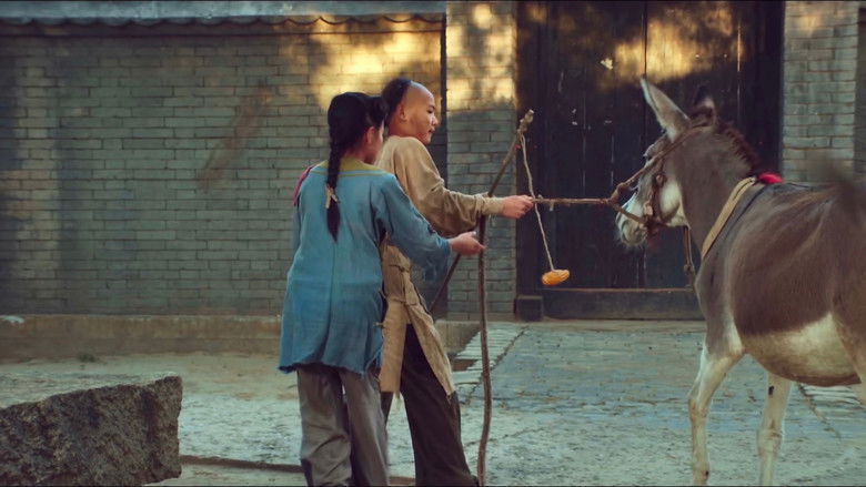 Backdrop de 毛驴县令