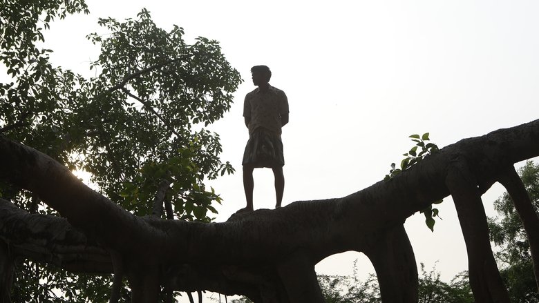Bison Kaalamaadan