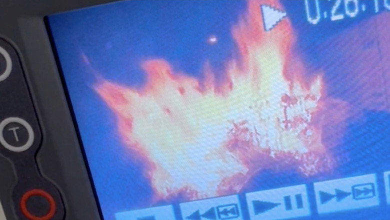 I Never Thought of Phoenixes