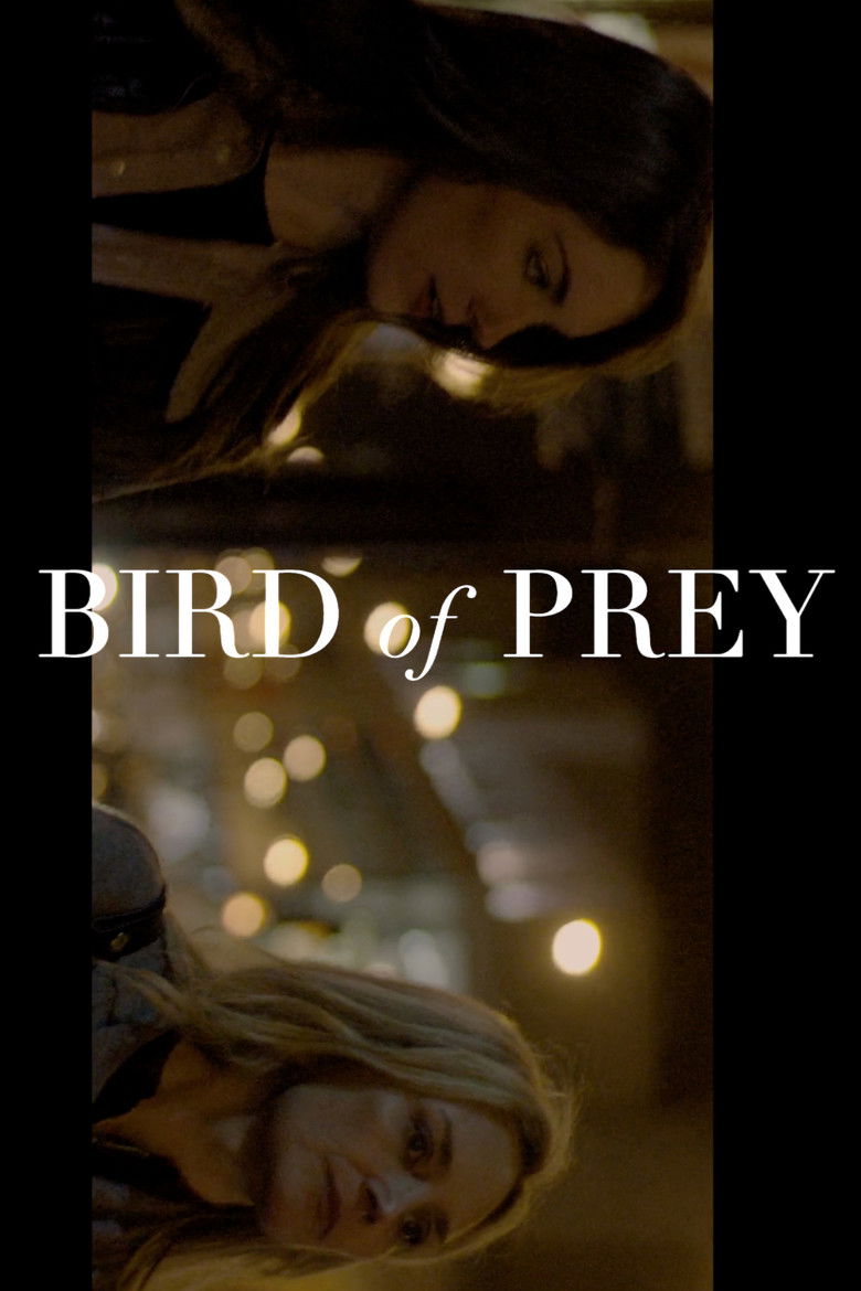 Imatge de Bird of Prey