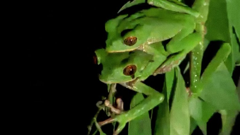 Still image for Trials of Life season 1 episode 1: Arriving Still image for Trials of Life season 1 episode 1: Arriving