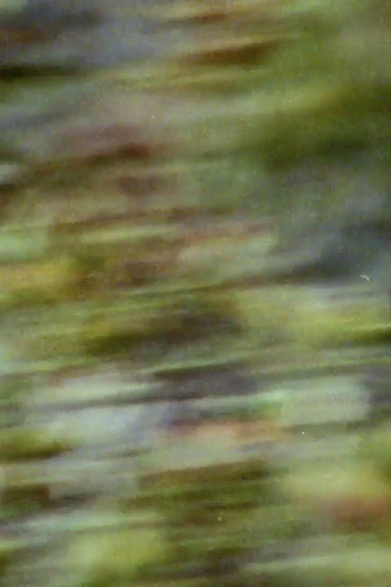 Imatge de Cezanne's Eye