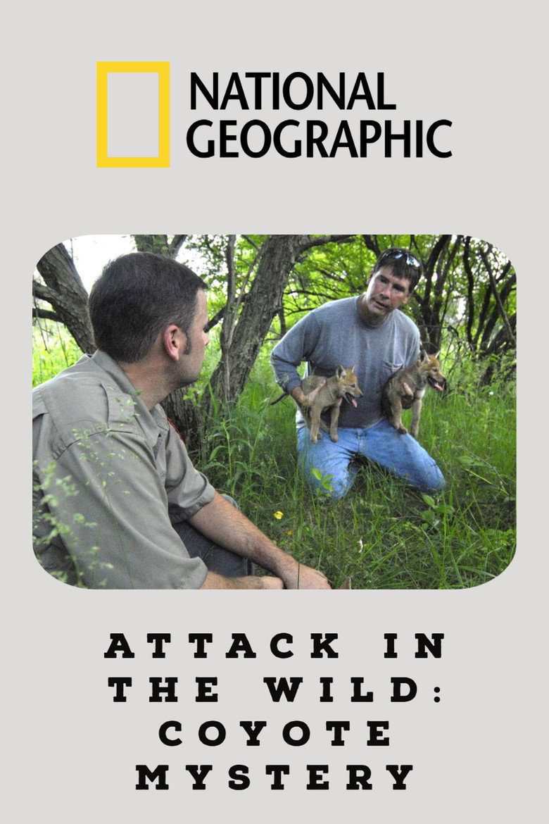 Attack in the Wild: Coyote Mystery poster