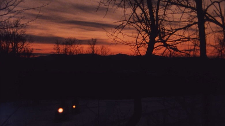 Gallery image from iZTi8eaE5aqKw6OZpr51VUTEmP4.jpg