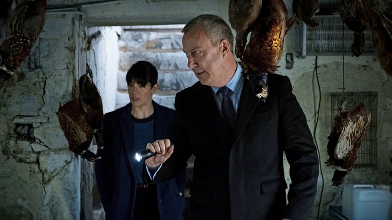 DCI Banks: 5×5