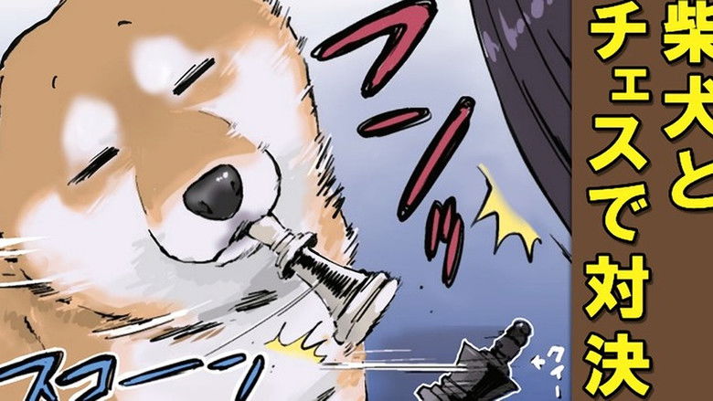 Still image for Doomsday with My Dog season 1 episode 47: Chess / Loop (Role Reversal) / Can`t Quit Still image for Doomsday with My Dog season 1 episode 47: Chess / Loop (Role Reversal) / Can`t Quit