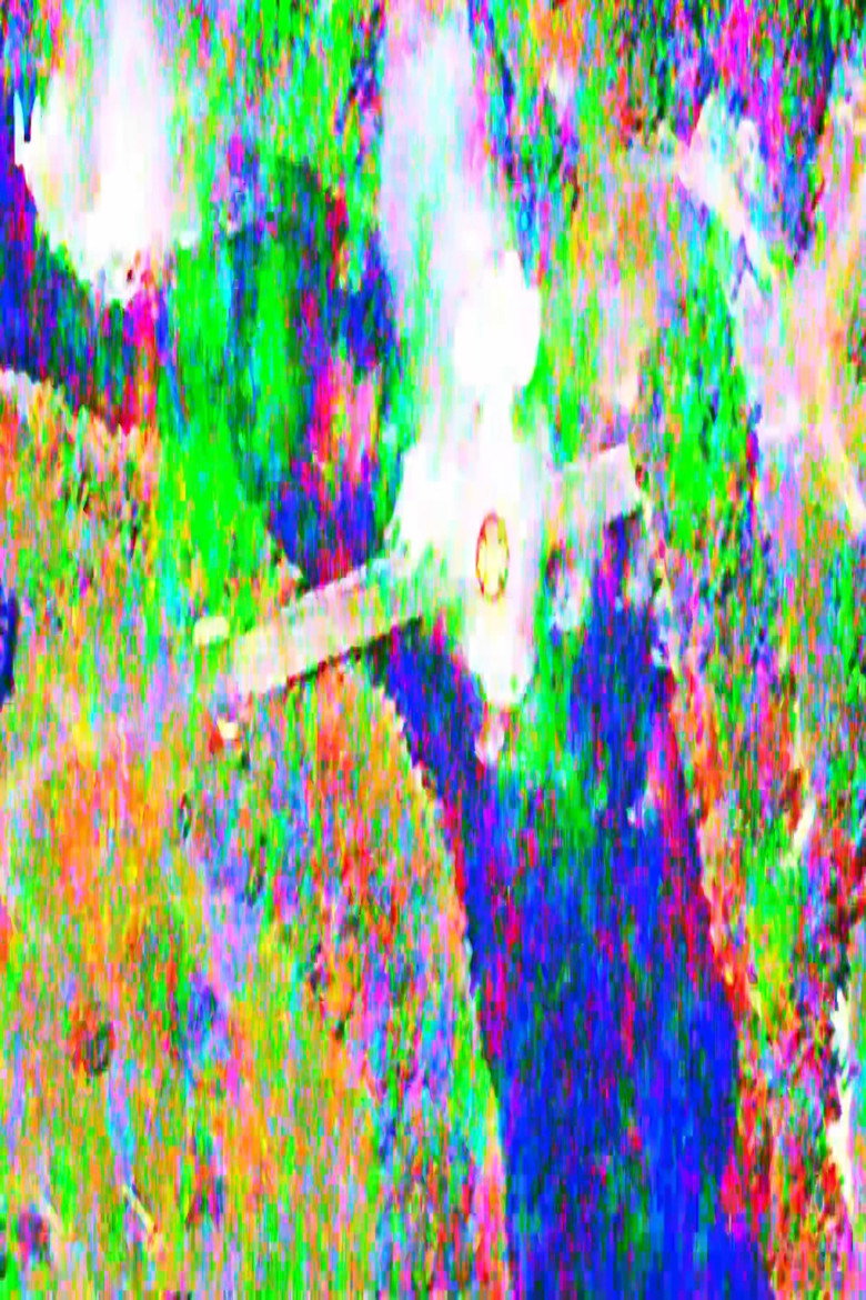 Patria Im(age)itate background