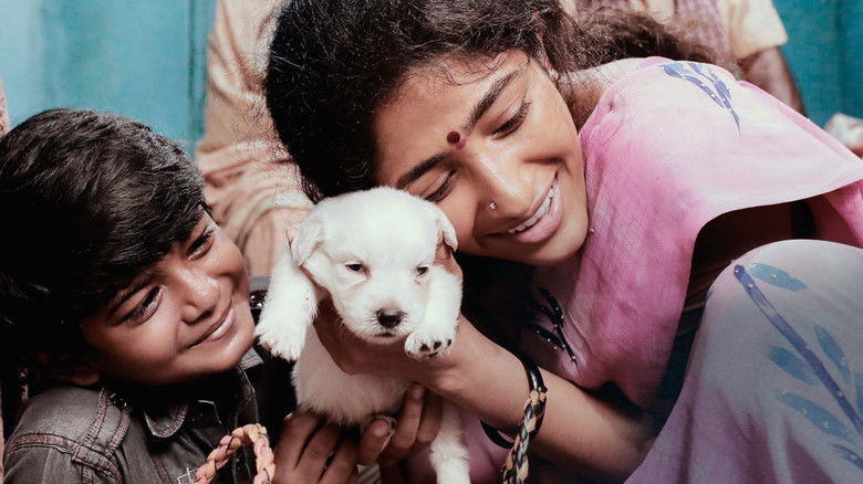 Медиа изображение