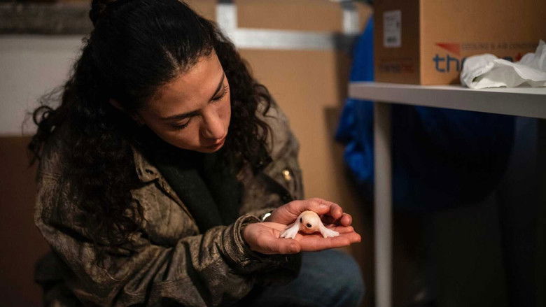 Still image for We Come in Peace season 1 episode 3: The egg Still image for We Come in Peace season 1 episode 3: The egg