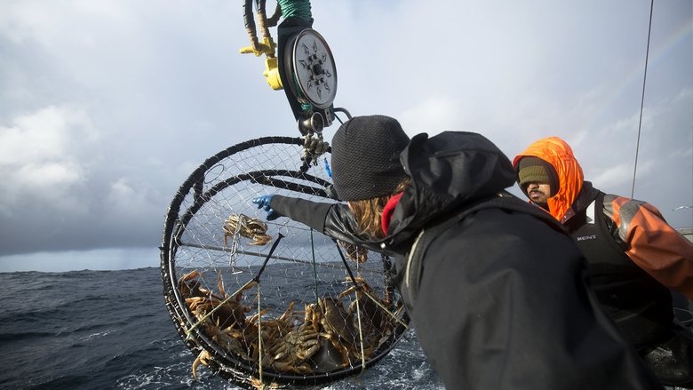 Still image for Deadliest Catch: Dungeon Cove season 1 episode 5: Another Lost Soul