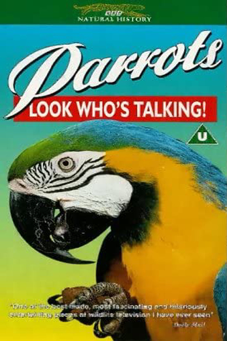 Parrots: Look Who's Talking background