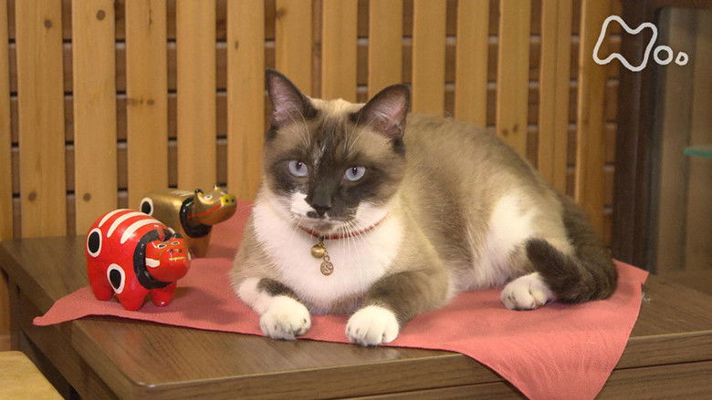 Still image for Mitsuaki Iwago's World “Cats” Travelogue season 1 episode 86: Aizu and Fukushima Still image for Mitsuaki Iwago's World “Cats” Travelogue season 1 episode 86: Aizu and Fukushima