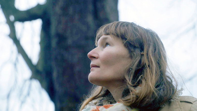 Gallery image from ibtDepktIK8S7zcE9Uw44gcQ3KL.jpg