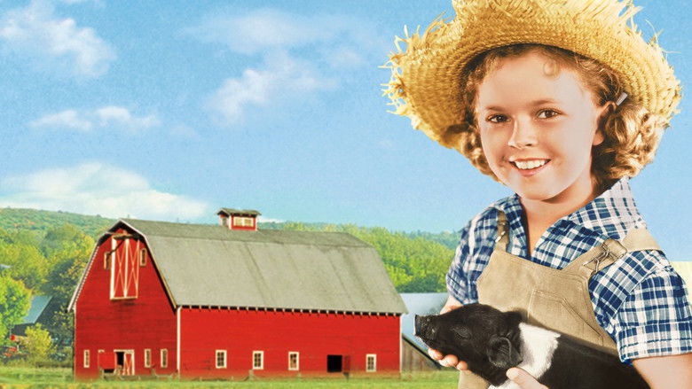 Gallery image from ic2hDLOZbSL3M3Dy9mzJdPHWLSu.jpg