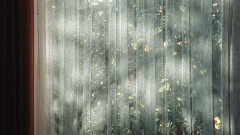 Gallery image from icPByKGFSeNSWs4P1UhuCsut6md.jpg