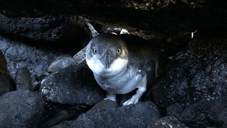 Gallery image from icT9pi4RHF3zIIVyRl4rVC5V8p1.jpg