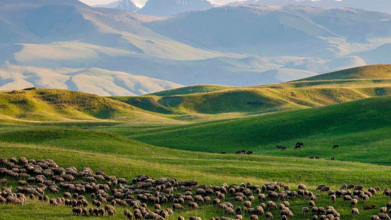 Imatge de Kasachstan: Sterne, Steppe, Stutenmilch