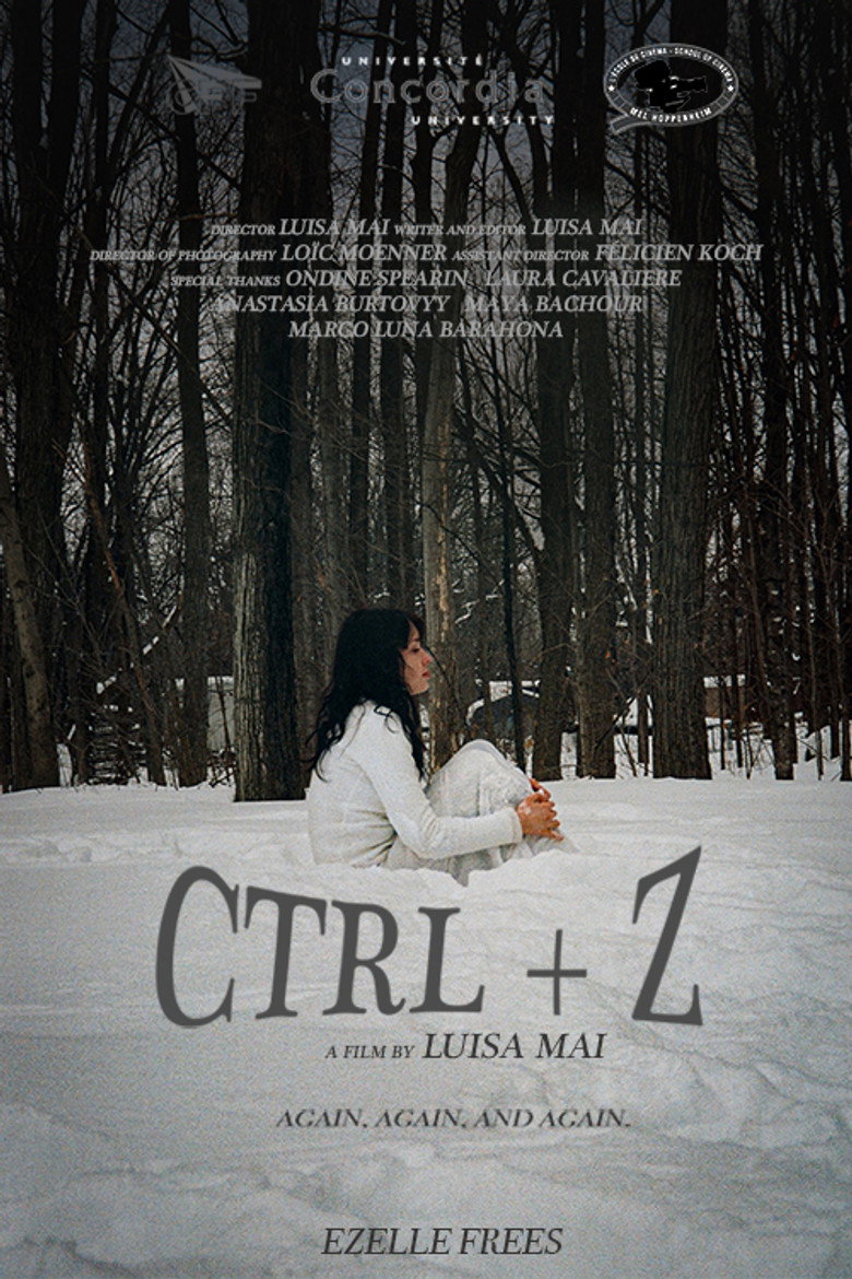 CTRL+Z poster