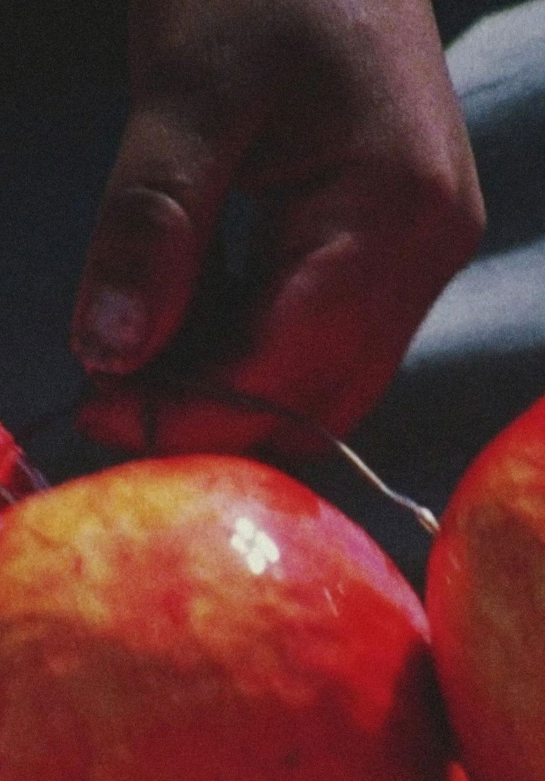 Imatge de Fake Fruit Factory