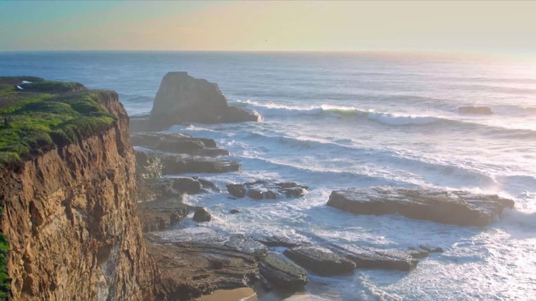 Still image for When Sharks Attack... and Why season 1 episode 2: California Crisis Still image for When Sharks Attack... and Why season 1 episode 2: California Crisis