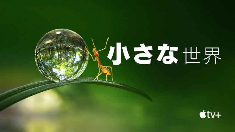 Gallery image from iefcrui2ZDWIJ5Pjp2MO5xDslDo.jpg