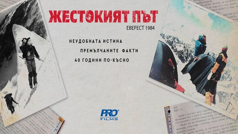 Gallery image from if1Ix7VYTEzYVSUgYRBtUGKSiZc.jpg