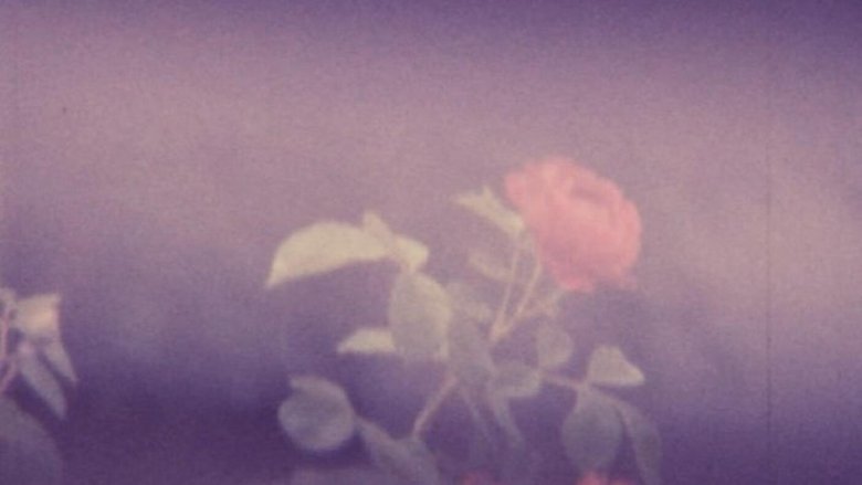 Gallery image from if3Wa5yeBFztQwJD4dWVTywT0SZ.jpg