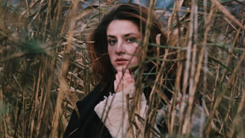 Image d'arrière-plan 4 du film Famille de vampires