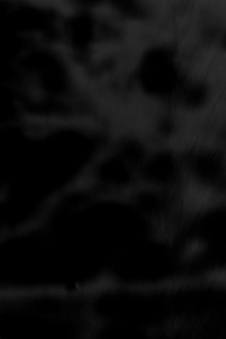 Black Trees poster