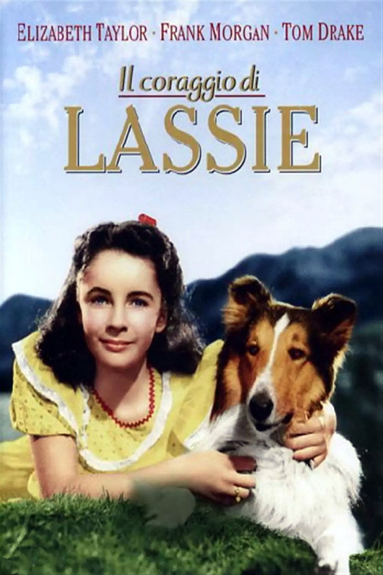 Copertina di Il coraggio di Lassie