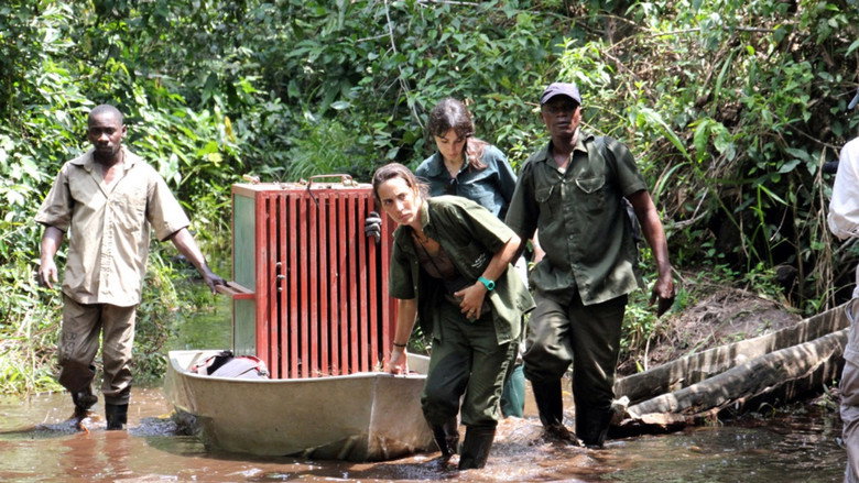 Imatge de Schimpansen im Kongo mit Jane Goodall